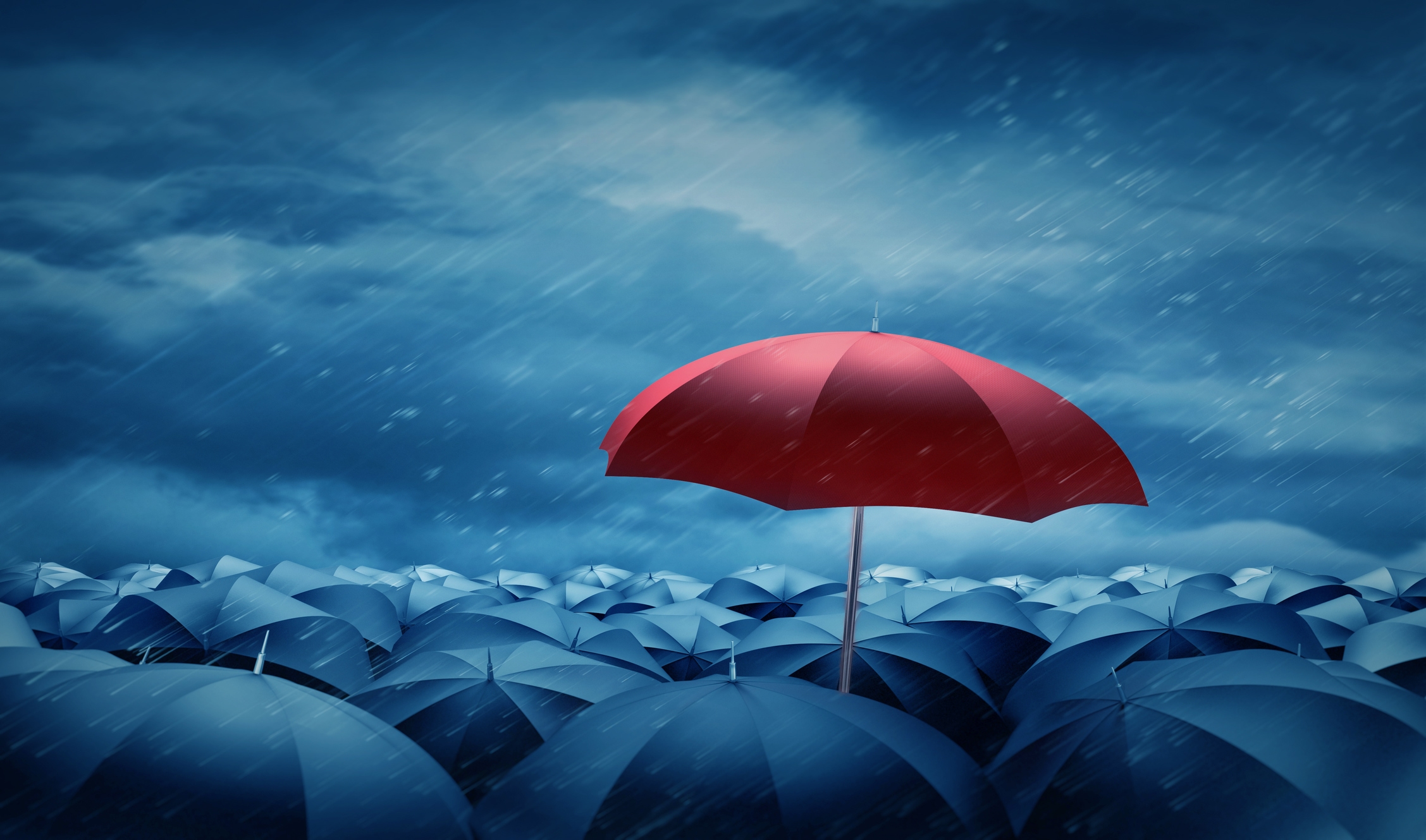 Why Your Cyber Insurance Won't Save You from Wire Fraud (And What Will)